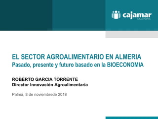 EL SECTOR AGROALIMENTARIO EN ALMERIA
Pasado, presente y futuro basado en la BIOECONOMIA
ROBERTO GARCIA TORRENTE
Director Innovación Agroalimentaria
Palma, 8 de noviembrede 2018
 