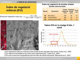 Índex de vegetació
millorat (EVI)
12
Observació de la Terra i espai forestal, eines de diagnòstic, Barcelona, 8 de novembr...
