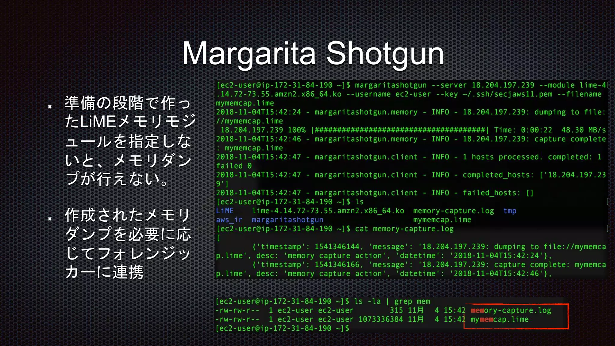 Margarita Shotgun
準備の段階で作っ
たLiMEメモリモジ
ュールを指定しな
いと、メモリダン
プが行えない。
作成されたメモリ
ダンプを必要に応
じてフォレンジッ
カーに連携
 