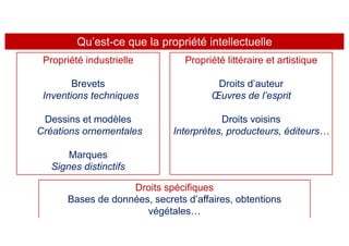 Qu’est-ce que la propriété intellectuelle
Propriété industrielle
Brevets
Inventions techniques
Dessins et modèles
Créations ornementales
Marques
Signes distinctifs
Propriété littéraire et artistique
Droits d’auteur
Œuvres de l’esprit
Droits voisins
Interprètes, producteurs, éditeurs…
Droits spécifiques
Bases de données, secrets d’affaires, obtentions
végétales…
 