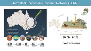 Terrestrial Ecosystem Research Network (TERN)
www.tern.org.au
 
