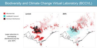 Biodiversity and Climate Change Virtual Laboratory (BCCVL)
current 2075Mountain Ash
Leadbeater’s possum
Overlap of distributions
Large reduction in
overlapping
distributions by the
year 2075
 