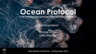 Ocean ProtocolA decentralized data exchange protocol to unlock data for AI
Data Natives Conference – 22 November 2018
@oceanprotocol
Marcus Jones
Data Scientist
11
 