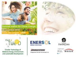 Cluster Technology of
Wallonia Energy, Environment
and sustainable Development
 