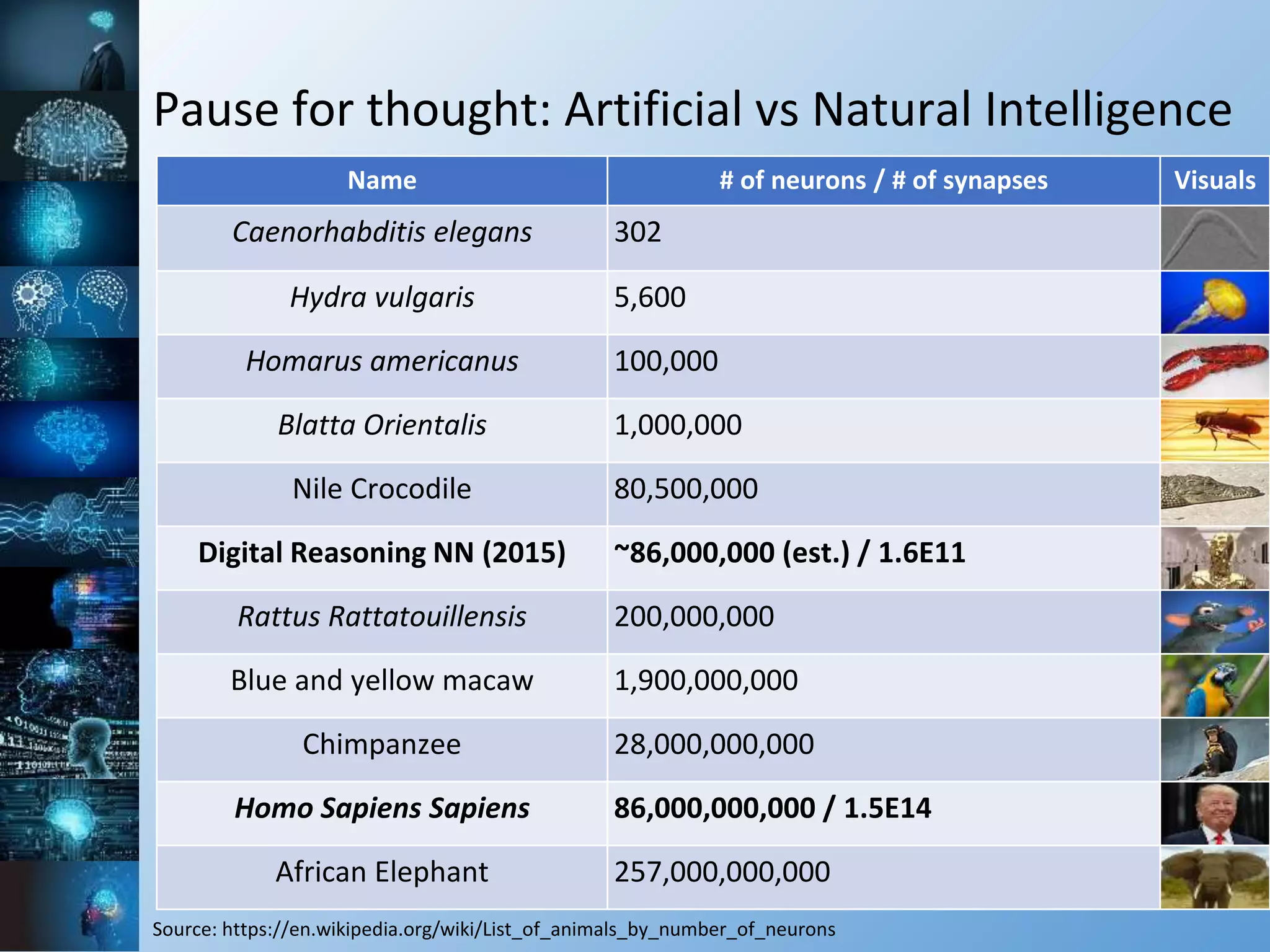 Pause for thought: Artificial vs Natural Intelligence
Name # of neurons / # of synapses Visuals
Caenorhabditis elegans 302
Hydra vulgaris 5,600
Homarus americanus 100,000
Blatta Orientalis 1,000,000
Nile Crocodile 80,500,000
Digital Reasoning NN (2015) ~86,000,000 (est.) / 1.6E11
Rattus Rattatouillensis 200,000,000
Blue and yellow macaw 1,900,000,000
Chimpanzee 28,000,000,000
Homo Sapiens Sapiens 86,000,000,000 / 1.5E14
African Elephant 257,000,000,000
Source: https://en.wikipedia.org/wiki/List_of_animals_by_number_of_neurons
 