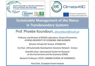 Sustainable Management of the Nexus
in Transboundary Systems
in Developing CountriesProf. Phoebe Koundouri, pkoundouri@aueb.gr
Professor and Director of ReSEES Laboratory, School of Economics
ATHENS UNIVERSITY OF ECONOMIC AND BUSINESS
Director Climate KIC Greece, ATHENA RIC
Co-Chair, UN Sustainable Development Solutions Network - Greece
Scientific Chair, International Center for Research
on the Environment and the Economy (ICRE8)
Research Professor, CCCEP, LONDON SCHOOL OF ECONOMICS
Vice-Chair, European Forest Institute
 