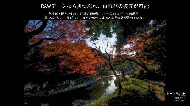 知られざる最強の写真管理 カメラアプリ これだけ聞けば誰でも使いこなせるlightroom活用術 知られざる最強の写真管理 カメラアプリ これだけ聞けば誰でも使いこなせるlightroom活用術