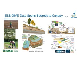 ESS-DIVE AGU 12/14/2018
ESS-DIVE Data Spans Bedrock to Canopy . . .
3
 