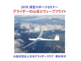 2018 滑空スポーツセミナー
グライダーの山岳とウェーブフライト
公益社団法人日本グライダークラブ 櫻井玲子
 