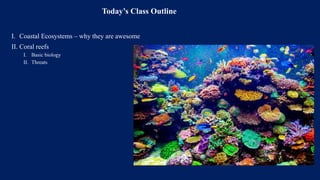 Today’s Class Outline
I. Coastal Ecosystems – why they are awesome
II. Coral reefs
I. Basic biology
II. Threats
 