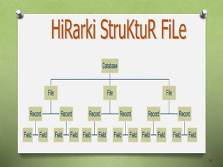 Field Field
Record
Field Field
Record
File
Field Field
Record
Field Field
Record
File
Field Field
Record
Field Field
Record
File
Database
10
 