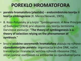 • poreklo hromatofora (plastida) – endosimbiotska teorija ili
teorija simbiogeneze (K. Mereschkowski, 1905)
• B. Kozo-Polyansky je u knjizi “Symbiogenesis: A New Principle
of Evolution”(1924) prvi objasnio ovu teoriju terminima
Darvinove evolucije: “The theory of symbiogenesis is a
theory of selection relying on the phenomenon of
symbiosis.“
• brojne osobine savremenih hromatofora ukazuju na njihovo
cijanobakterijsko poreklo: organizacija kružne DNK, načini
transkripcije i translacije, veličina njihovih ribozoma (70s),
sličan spektar osetljivosti na antibiotike sa cijanobakterijama
POREKLO HROMATOFORA
 