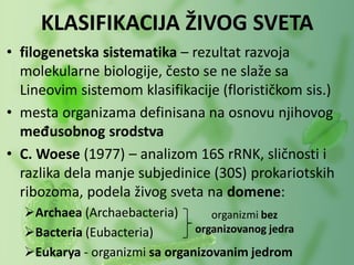 • filogenetska sistematika – rezultat razvoja
molekularne biologije, često se ne slaže sa
Lineovim sistemom klasifikacije (florističkom sis.)
• mesta organizama definisana na osnovu njihovog
međusobnog srodstva
• C. Woese (1977) – analizom 16S rRNK, sličnosti i
razlika dela manje subjedinice (30S) prokariotskih
ribozoma, podela živog sveta na domene:
Archaea (Archaebacteria)
Bacteria (Eubacteria)
Eukarya - organizmi sa organizovanim jedrom
KLASIFIKACIJA ŽIVOG SVETA
organizmi bez
organizovanog jedra
 