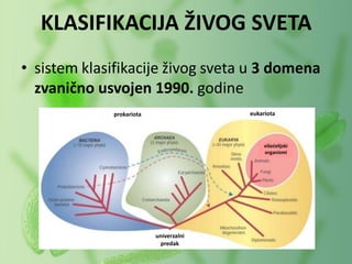 KLASIFIKACIJA ŽIVOG SVETA
univerzalni
predak
prokariota eukariota
višećelijski
organizmi
• sistem klasifikacije živog sveta u 3 domena
zvanično usvojen 1990. godine
 