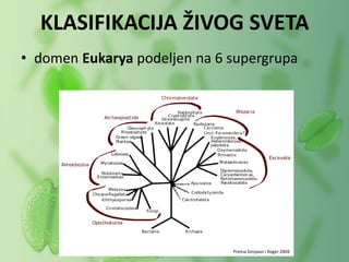 • domen Eukarya podeljen na 6 supergrupa
KLASIFIKACIJA ŽIVOG SVETA
Prema Simpson i Roger 2004
 