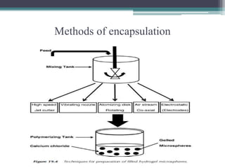Methods of encapsulation
 