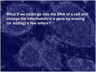 What if we could go into the DNA of a cell and
change the information in a gene by erasing
(or adding) a few letters?
.
 