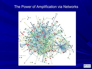 The Power of Amplification via Networks
 