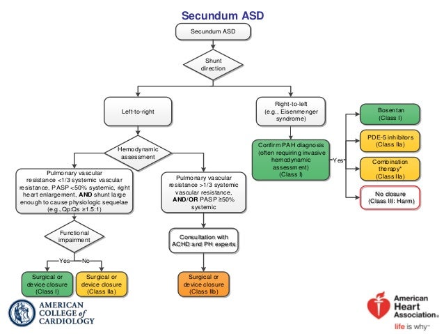 Acc/Aha 2008 Guidelines For The Management Of Adults – BZHV