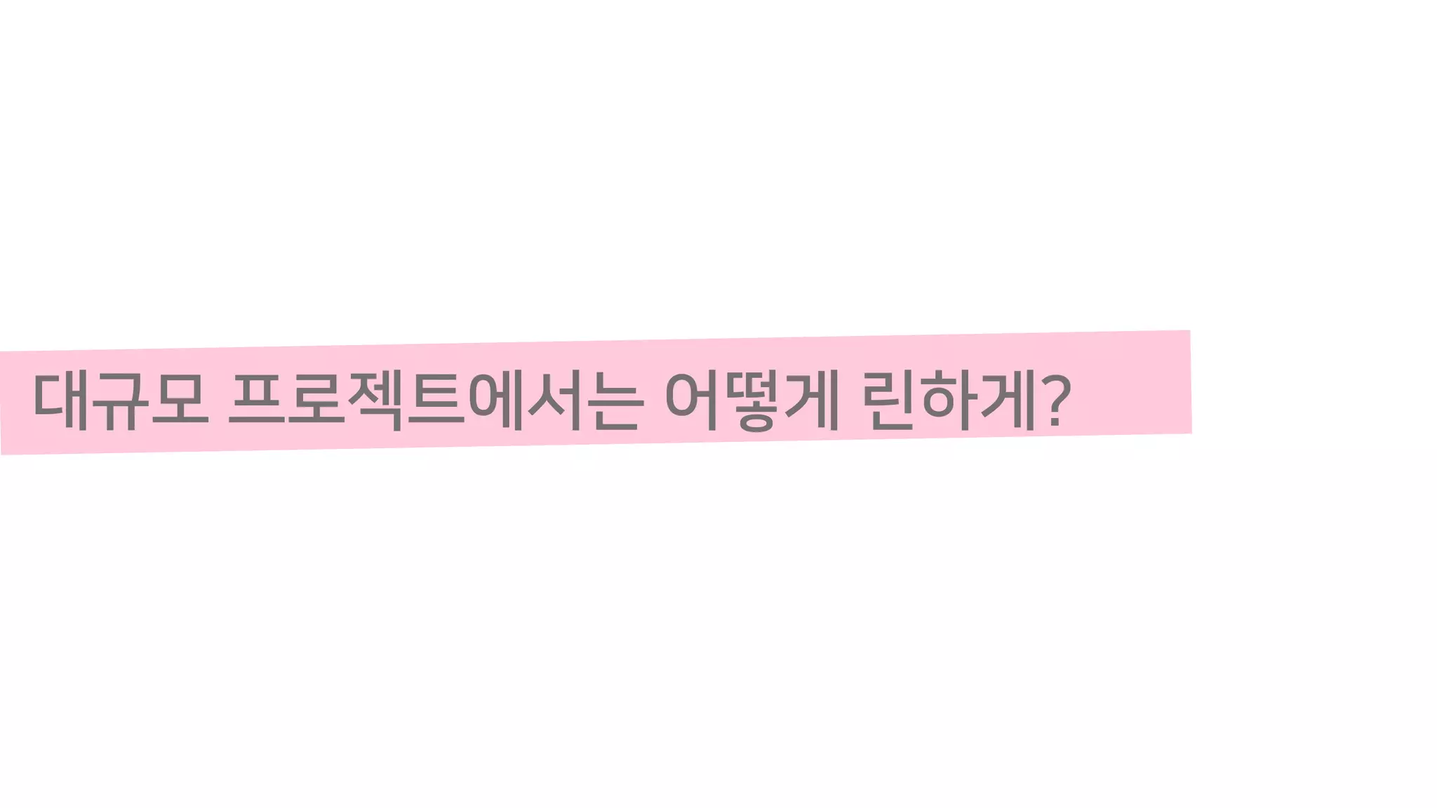 대규모 프로젝트에서는 어떻게 린하게?
 