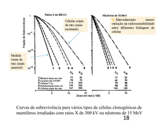 18
Curvas de sobrevivência para vários tipos de células clonogênicas de
mamíferos irradiadas com raios X de 300 kV ou nêutrons de 15 MeV
 