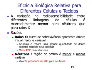19
Eficácia Biológica Relativa para
Diferentes Células e Tecidos
 A variação na radiosenssibilidade entre
diferentes linhagens de células é
marcadamente menor para nêutrons que
para raios X
 Razões
 Raios X: curva de sobrevivência apresenta ombro
inicial maior e variável
 Acumula e repara uma grande quantidade de danos
subletal causado pela radiação
 Maior RBE para nêutrons
 Nêutrons : região do ombro é menor e menos
variável
 Valores pequenos de RBE para nêutrons
 