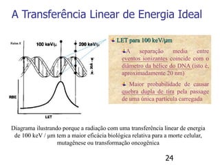24
A Transferência Linear de Energia Ideal
Diagrama ilustrando porque a radiação com uma transferência linear de energia
de 100 keV / μm tem a maior eficácia biológica relativa para a morte celular,
mutagênese ou transformação oncogênica
LET para 100 keV/μm
A separação media entre
eventos ionizantes coincide com o
diâmetro da hélice do DNA (isto é,
aproximadamente 20 nm)
Maior probabilidade de causar
quebra dupla de tira pela passage
de uma única partícula carregada
 