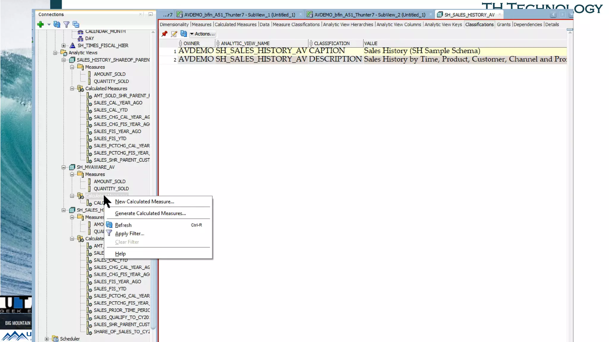 TH TechnologyTH Technology
Analytic View Data Viewer
 