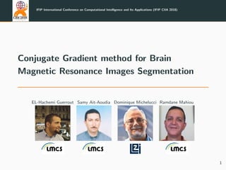 IFIP International Conference on Computational Intelligence and Its Applications (IFIP CIIA 2018)
Conjugate Gradient method for Brain
Magnetic Resonance Images Segmentation
EL-Hachemi Guerrout Samy Ait-Aoudia Dominique Michelucci Ramdane Mahiou
1
 