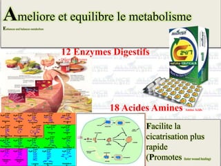 Ameliore et equilibre le metabolisme
Enhances and balances metabolism
12 Enzymes Digestifs
Digestive Enzymes
Facilite la
cicatrisation plus
rapide
(Promotes faster wound healing)
18 Acides Amines Amino Acids
 
