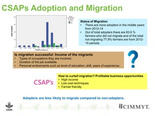 CSAPs Adoption and Migration
Status of Migration
• There are more adopters in the middle years
from 2012-14
• Out of total adopters there are 83.6 %
farmers who did not migrate and of the total
not migrating 77.9% farmers are from 2012-
14 periods.
Is migration successful: Income of the migrants
• Types of occupations they are involved.
• Duration of the job available.
• Personal endowments such as level of education, skill, years of experience,
How to curtail migration? Profitable business opportunities
• High income
• Low cost techniques
• Farmer friendly
CSAP’s
Adopters are less likely to migrate compared to non-adopters.
 