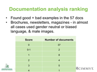 Overview of institutional gender audit report