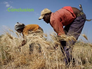 Overview of institutional gender audit report