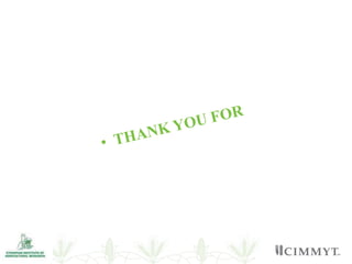 Overview of institutional gender audit report