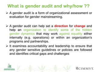 Overview of institutional gender audit report