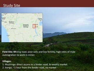 Microfinance in the margins: understanding women's financial capabilities in South Kivu, Democratic Republic of Congo