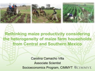 Rethinking maize productivity considering the heterogeneity of maize farm households from Central and Southern Mexico