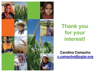 Rethinking maize productivity considering the heterogeneity of maize farm households from Central and Southern Mexico