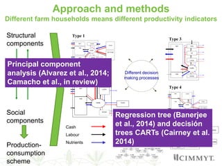 Rethinking maize productivity considering the heterogeneity of maize farm households from Central and Southern Mexico
