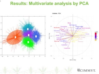 Rethinking maize productivity considering the heterogeneity of maize farm households from Central and Southern Mexico
