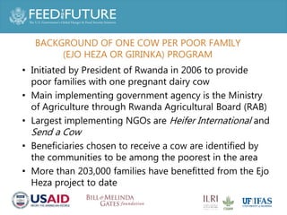 Increasing the health and nutritional outcomes of Rwanda's 'One cow per poor family' from a gender perspective