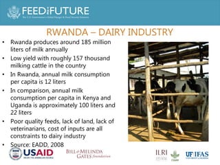Increasing the health and nutritional outcomes of Rwanda's 'One cow per poor family' from a gender perspective