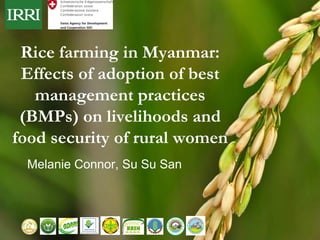 Rice farming in Myanmar:
Effects of adoption of best
management practices
(BMPs) on livelihoods and
food security of rural women
Melanie Connor, Su Su San
 