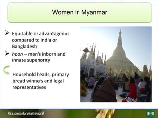 Rice farming in Myanmar: Effects of adoption of best management practices on livelihoods and food security of rural women