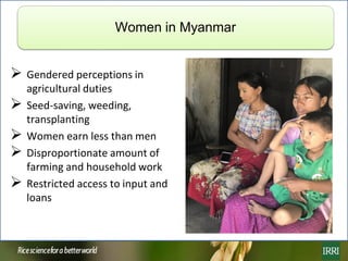 Rice farming in Myanmar: Effects of adoption of best management practices on livelihoods and food security of rural women