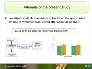 Rice farming in Myanmar: Effects of adoption of best management practices on livelihoods and food security of rural women
