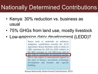 Hawking against hegemony: Fighting patriarchy through informal milk market participation in Central Kenya