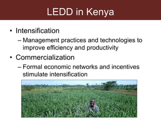 Hawking against hegemony: Fighting patriarchy through informal milk market participation in Central Kenya