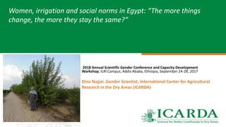 Women, irrigation and social norms in Egypt: "The more things change, the more they stay the same"
