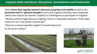 Women, irrigation and social norms in Egypt: "The more things change, the more they stay the same"